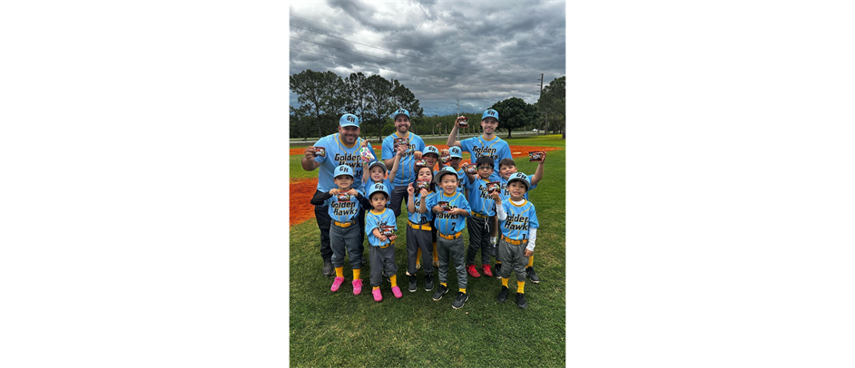 Spring 2025 Baseball